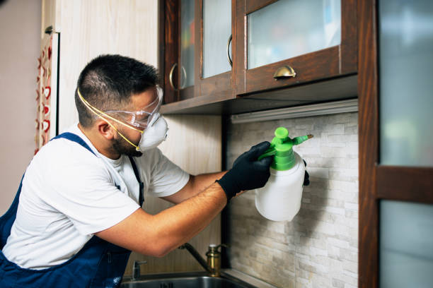 Best Flea Control Services  in Crestview, FL