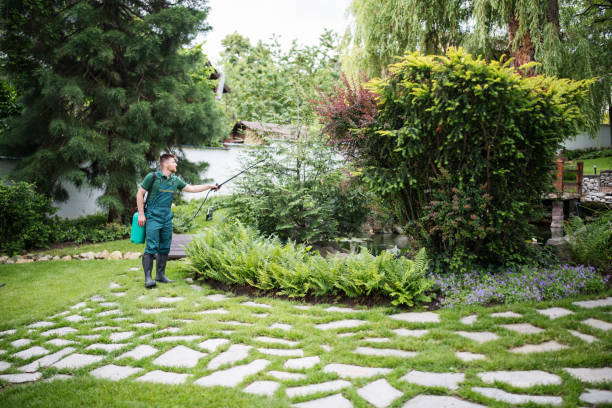 Best Pest Control Near Me  in Crestview, FL