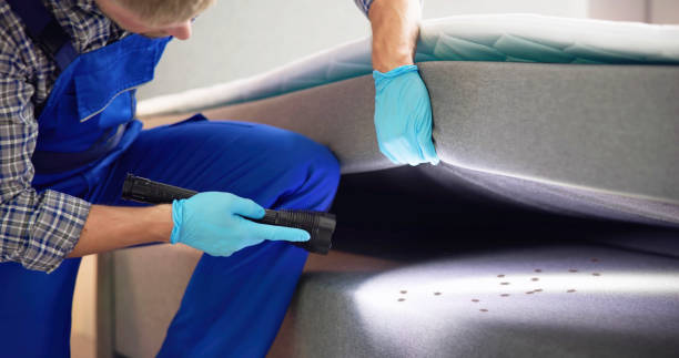 Best Commercial Pest Control Services  in Crestview, FL