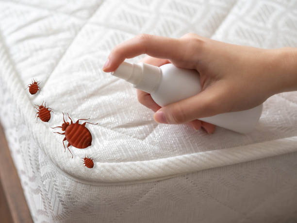 Best Pest Inspection Near Me  in Crestview, FL
